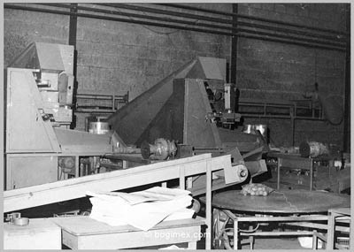 Loockwood inpakmachine voor aardappelen